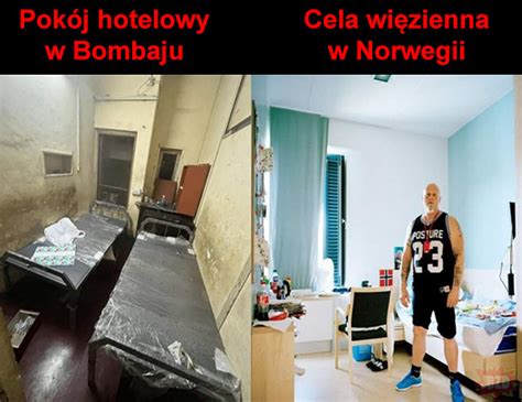 Każdy by chciał być norweskim patusem