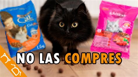 Las 5 PEORES Marcas De CROQUETAS Para Gatos Ft Edgarelveterinario