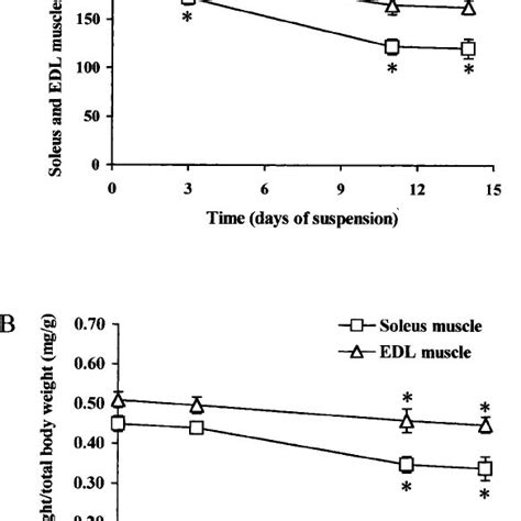 A Relationship Between Mean Soleus And EDL Mass Mg And Duration Of