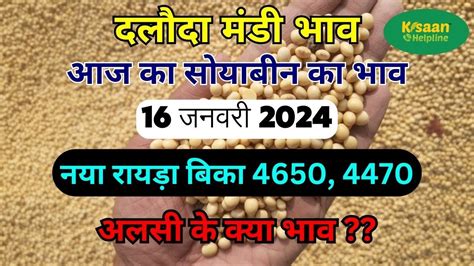 16 जनवर 2024 दलद मड भव आज क सयबन क भव sarso ka bhav