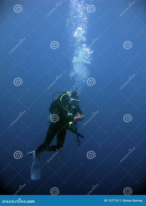 scuba divers underwater safety stop stock photo image  asian