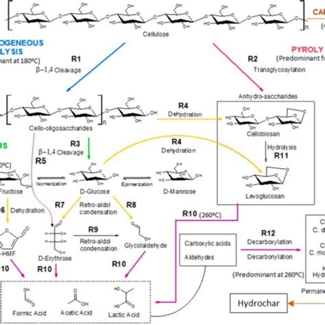 Scheme Of Reaction Pathways Of Cellulose Decomposition As Proposed By