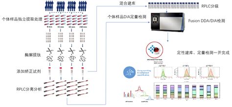 DIA TMT iTRAQ标记定量蛋白质组学质谱检测分析价格 详情介绍 960化工网 960化工网