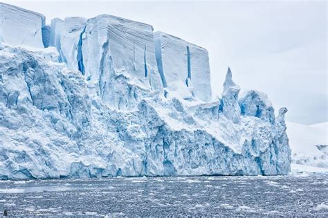 Dysney Ice Castle - Martin Bailey Antarctica Iceberg | Scenery ...