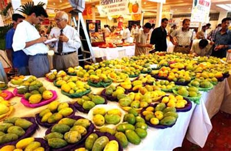 Pakistani Mangoes