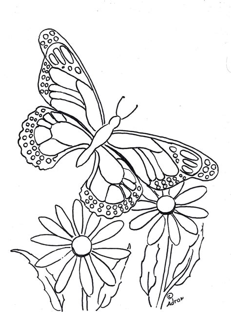 Butterfly On Flower Coloring Pages - boringpop.com