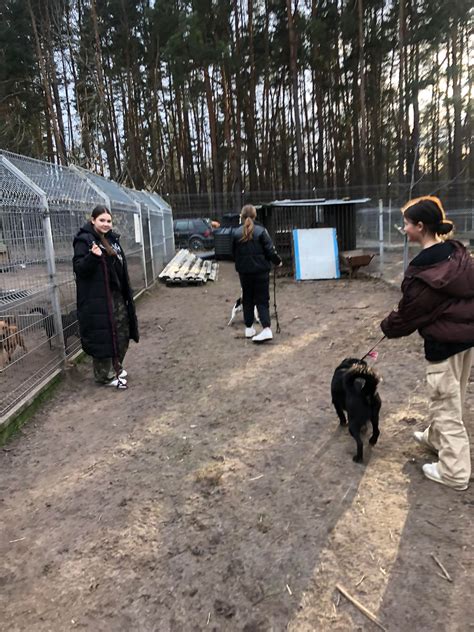 Przekazanie darów do schroniska dla zwierząt Szkoła Podstawowa w Dobieszu