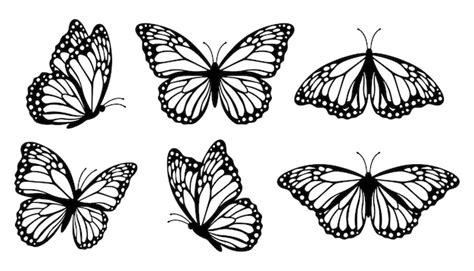 Colecci N De Siluetas De Mariposa Monarca Ilustraci N Vectorial