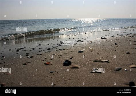 Beach At Goting On The Island Of Foehr The Schleswig Holstein Wadden