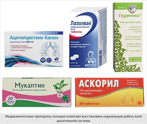 Чем и как почистить легкие и бронхи курильщика: эффективные методы и ...