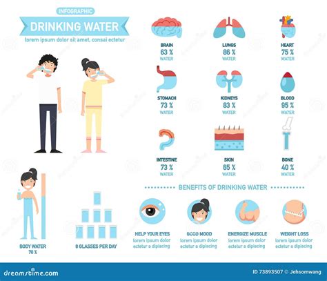 Benefits Of Drinking Water Infographics Body Water Vector Stock Vector