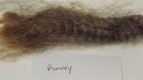 romney wool | The Fiber of My Being