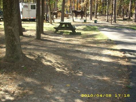 Deam Lake State Recreation Area Borden In Gps Campsites Rates