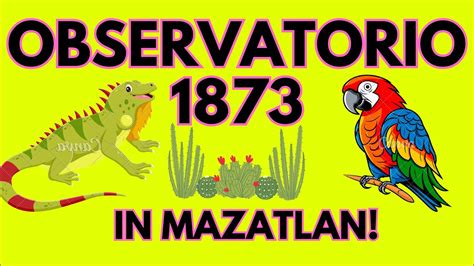 Visiting The Observatorio 1873 The Mazatlan Diaries 14 YouTube