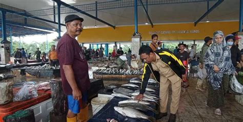 Cuaca Ekstrem Harga Ikan Laut Melambung Fajar Sulsel