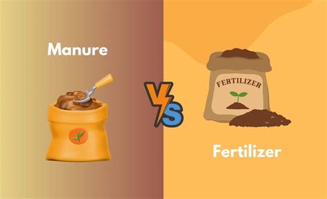 Manure Vs Fertilizer Whats The Difference With Table