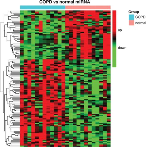 A Heat Map Showing Different Expression Patterns Of 120 Mirnas With P Download Scientific