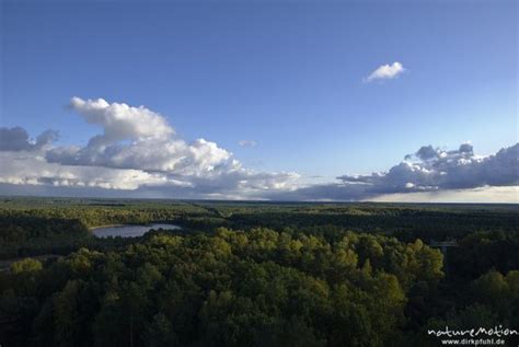 Seenlandschaft Im Abendlicht Seen Inmitten Von Wald Himmel Blick Vom