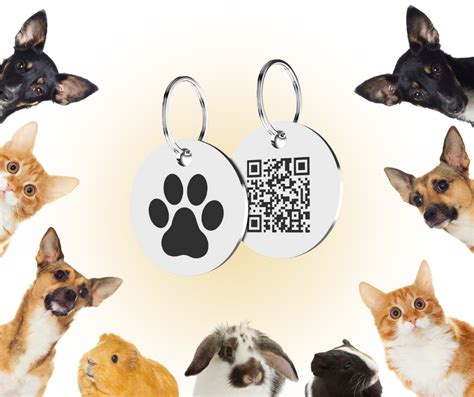 Newest Pet Trends! Why Pet Shop Owners Should Sell QR Code Pet Tags - QRMAGICK