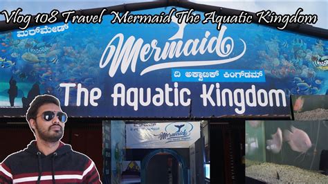 Vlog 108 Travel Mermaid The Aquatic Kingdom YouTube