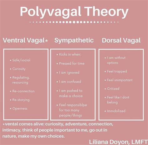 Polyvagal Theory And Anxiety Befriend Your Nervous System Artofit