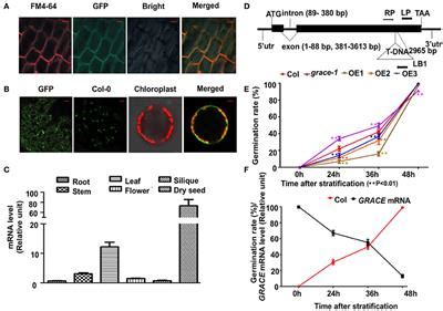 Frontiers Functional And Structural Characterization Of A Receptor