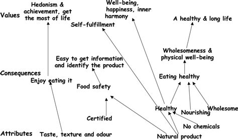 Hierarchical Value Map Of Positive Ladders Of The Occasional Consumers