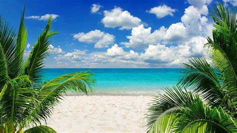 Tropical Shore Bliss 4k Ultra Hd Wallpaper