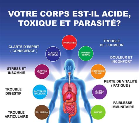 Comment Se Pr Server Contre Laccumulation De Toxines Dans Notre Corps