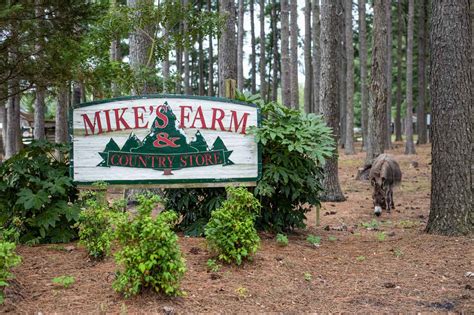 Mikes Farm Beulaville Nc Topsail Magazine