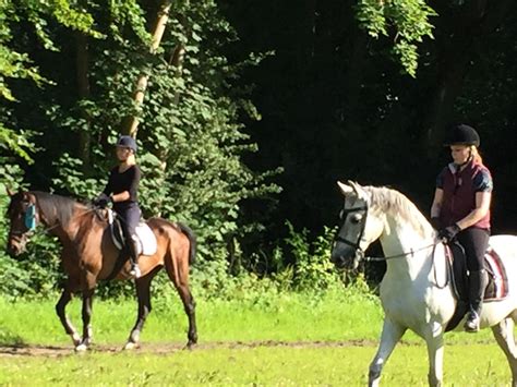 Reiten Lernen F R Erwachsene Anf Nger Sp Teinsteiger