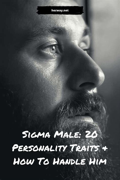 Sigma Male 20 Personality Traits How To Handle Him Sigma Male