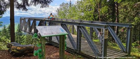 Bayerischer Wald Aussichtsplattform Skywalk Arnbruck Am Eck Riedelstein