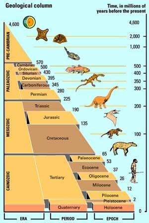 Geological Timeline | Geologic time scale, Geology, History of earth