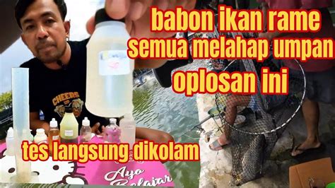 STRAIK TIADA HENTI DENGAN OPLOSAN TERBARU BABON IKAN RAME MAU MAKAN