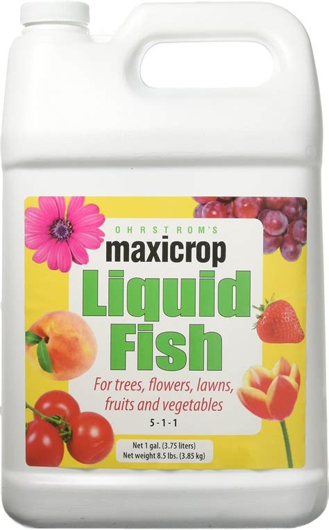 Amazon Maxicrop Liquid Fish Fertilizer Gallon Fertilizers