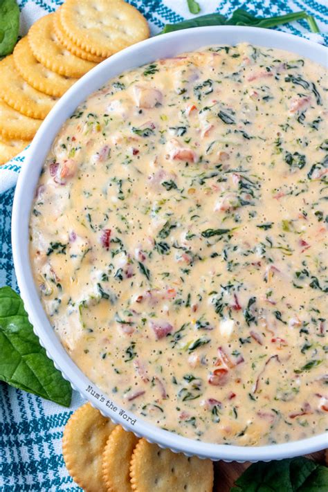 Cheesy Bacon Spinach Dip {Crock Pot} - Num's the Word