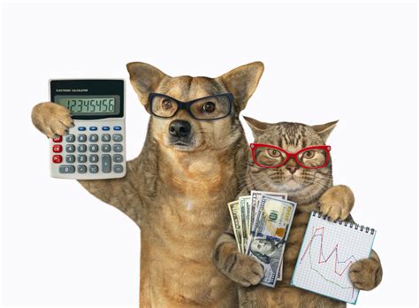 career questions finance frustrations johnson county library