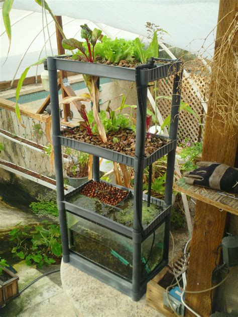 How To Diy Aquaponics The How To Diy Guide On Building Your Very Own