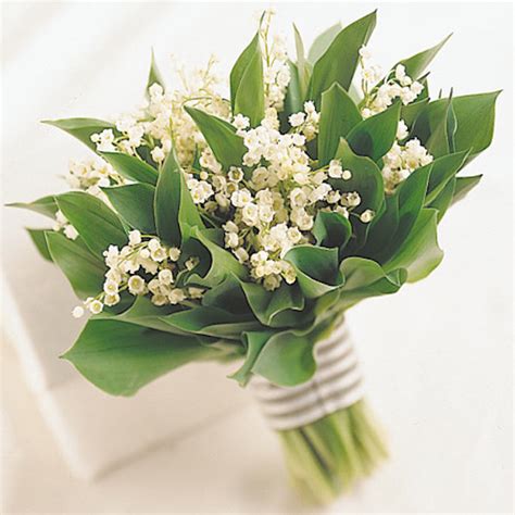 Inspirations For Lily Of The Valley Bouquet Everafterguide