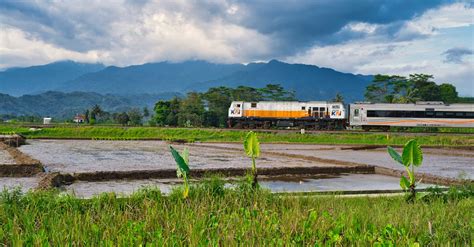 Revolución del transporte desafíos e innovaciones del ecosistema