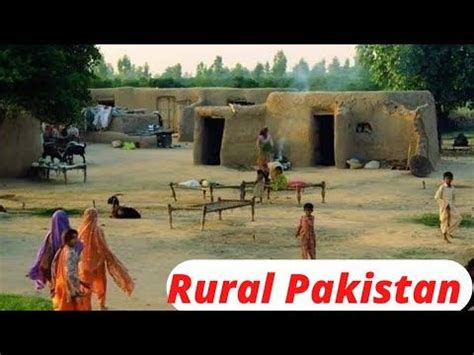 Village Life In Pakistan Daily Routine Work In Rural Pakistan