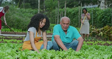 Premium Photo Group Of People Farming At Community Garden Plantation South American Farmers