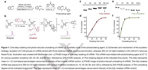 Angew：通用crrna酰化策略用于稳定的光启动crispr Cas12a系统一步式核酸检测 化学空间 Chem Station