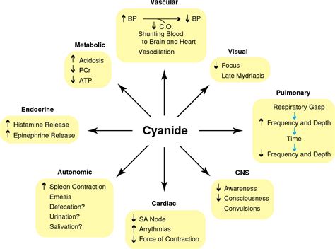 Pdf Chapter Cyanide Poisoning Introduction History And Use