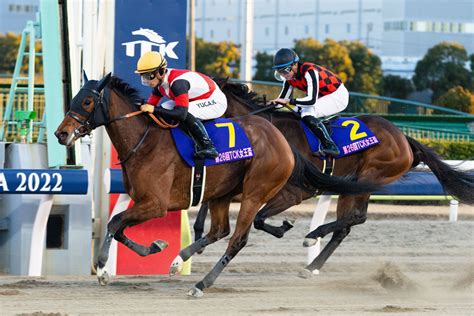 【エンプレス杯】1番人気は過去10年で複勝率100％！ 声優・都丸ちよの「推し馬」 競馬ニュース・特集なら東スポ競馬