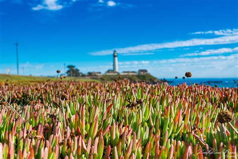 Kranthi Kiran Boyina - Pigeon Point - California-US