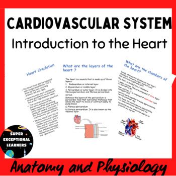 Anatomy And Physiology Unit Cardiovascular System Introduction To