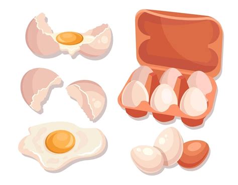 Premium Vector Fresh Eggs Collection