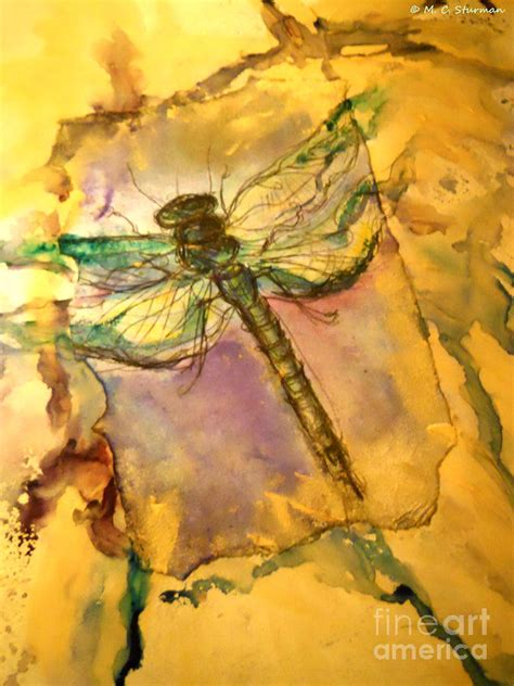 Golden Dragonfly Painting By M C Sturman Fine Art America